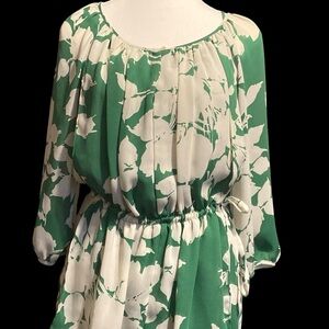 Talbots Green and White Bishop Sleeve Blouse
BIN #17